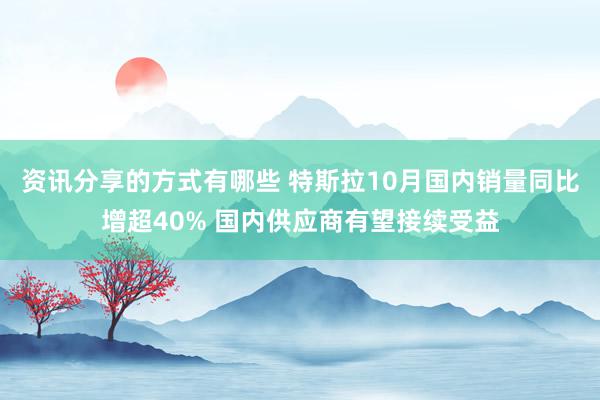 资讯分享的方式有哪些 特斯拉10月国内销量同比增超40% 国内供应商有望接续受益