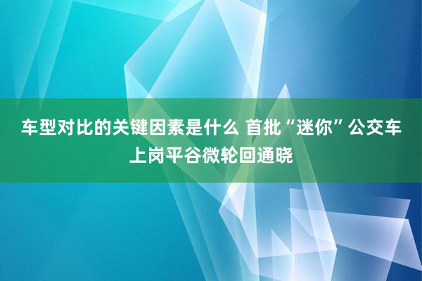 车型对比的关键因素是什么 首批“迷你”公交车上岗平谷微轮回通晓