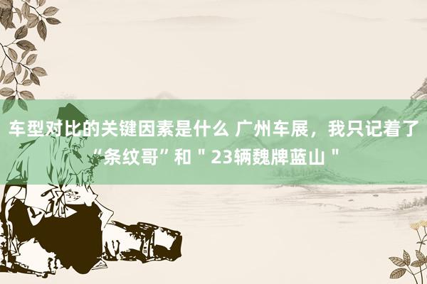 车型对比的关键因素是什么 广州车展，我只记着了“条纹哥”和＂23辆魏牌蓝山＂