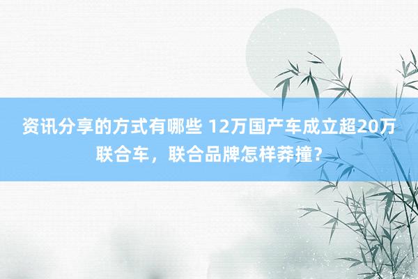 资讯分享的方式有哪些 12万国产车成立超20万联合车，联合品牌怎样莽撞？