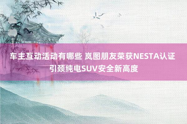 车主互动活动有哪些 岚图朋友荣获NESTA认证 引颈纯电SUV安全新高度