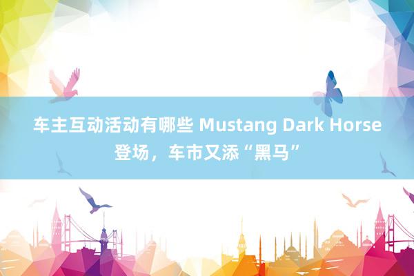 车主互动活动有哪些 Mustang Dark Horse登场，车市又添“黑马”