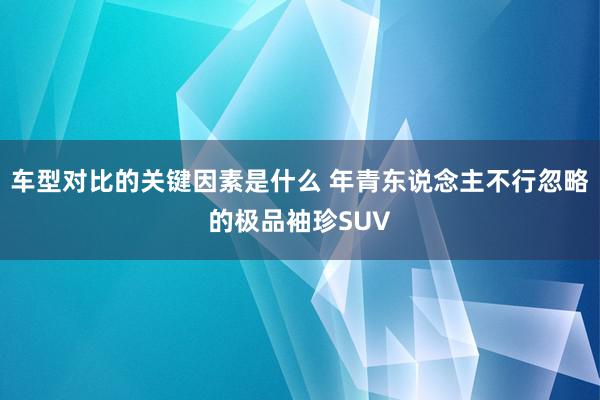 车型对比的关键因素是什么 年青东说念主不行忽略的极品袖珍SUV