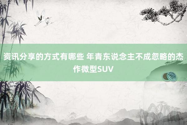 资讯分享的方式有哪些 年青东说念主不成忽略的杰作微型SUV