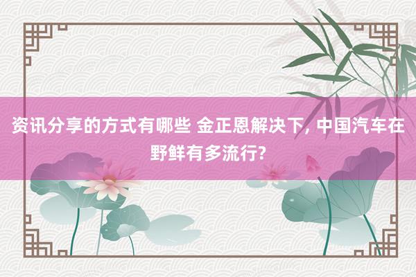 资讯分享的方式有哪些 金正恩解决下, 中国汽车在野鲜有多流行?