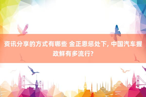 资讯分享的方式有哪些 金正恩惩处下, 中国汽车握政鲜有多流行?