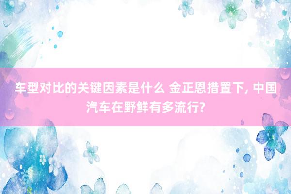 车型对比的关键因素是什么 金正恩措置下, 中国汽车在野鲜有多流行?