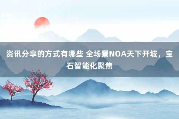 资讯分享的方式有哪些 全场景NOA天下开城，宝石智能化聚焦